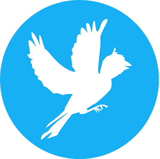 SkoleTube Logo